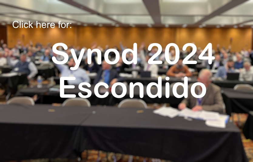 Synod Redeemer 2020